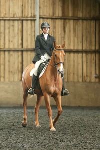 Isis Dressage Crown Farm Show 29th April 2012